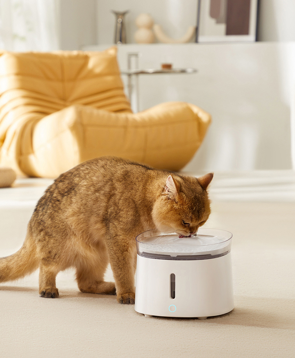 Pet Products